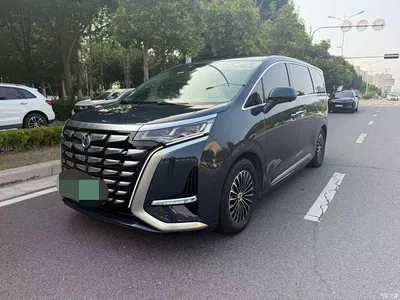 2022 Denza D9 DM-i 970 AWD Flagship, фото 1, лот 10345749