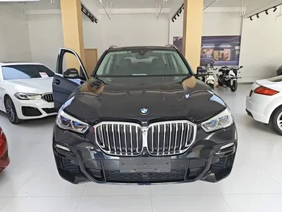2019 BMW X5 (Import) xDrive40i M Sport Package, фото 3, лот 10829174