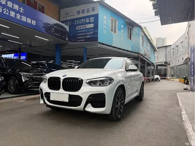 2021 BMW X4 xDrive 25i M Sport Glorious Night Package, фото 1, лот 10476851