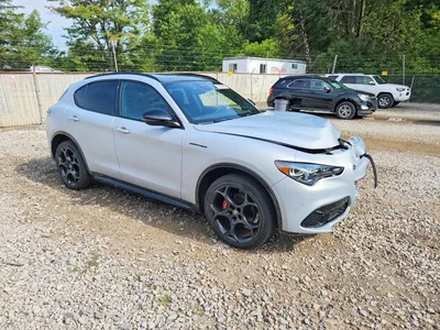 2024 ALFA ROMEO STELVIO TI, фото 4, лот 10882005