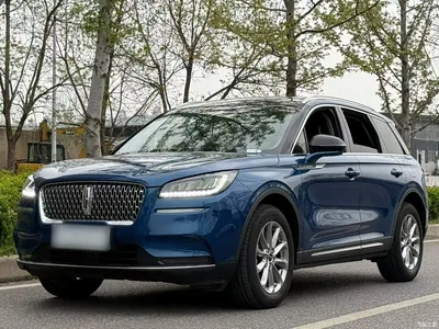 2020 Lincoln Adventurer 2.0T 2WD Premium Enjoyment Edition, фото 2, лот 10357572