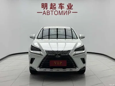 2020 Lexus NX 200 FWD Sharp Edition China VI, фото 2, лот 10312450