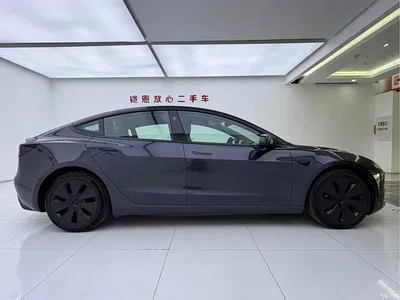 2023 Tesla Model 3 Rear-Wheel Drive, фото 4, лот 11204631