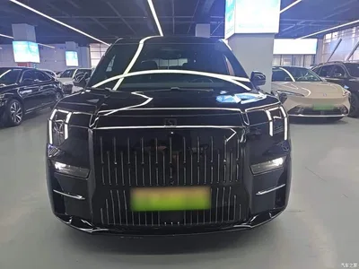 2022 ZEEKR 009 WE Edition, фото 3, лот 11194599