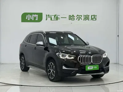 2022 BMW X1 sDrive20Li Fashion, фото 3, лот 10419521