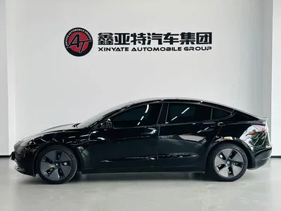 2021 Tesla Model 3 Standard Range Rear-Wheel Drive Upgrade 3D6, фото 4, лот 10954865