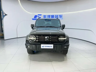 2021 Tank 300 Urban Edition 2.0T Stylish, фото 4, лот 10344204