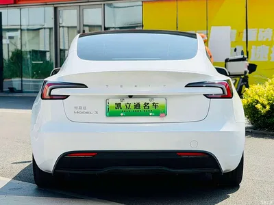2025 Tesla Model 3 Model Rear-Wheel Drive Edition, фото 3, лот 10351706