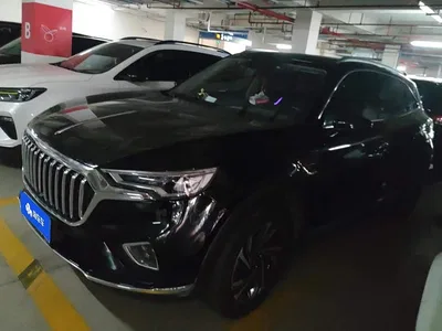 2022 Hongqi HS5 Facelift 2.0T Smart Flag Enjoyment Edition, фото 1, лот 10632669