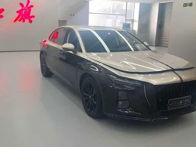 2025 Hongqi H5 1.5T DCT Mystic Shadow, фото 4, лот 11202585