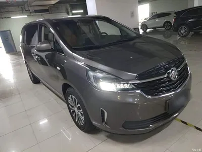 2021 Buick GL8 Land Business Class 652T Luxury, фото 4, лот 10441020