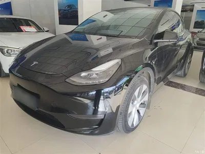 2021 Tesla Model Y Standard Range Rear-Wheel Drive, фото 2, лот 10374250