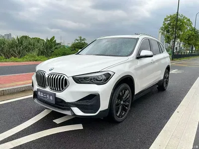 2020 BMW X1 sDrive20Li Fashion Model, фото 1, лот 10465300