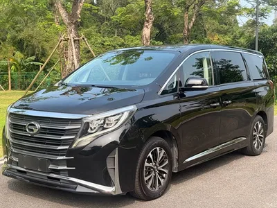 2023 GAC Trumpchi Trumpchi M8 Leading Series 390T Premium Edition, фото 1, лот 10414022