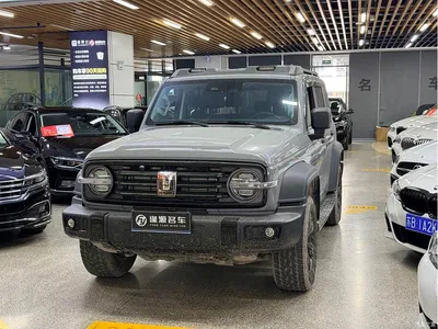 2021 Tank 300 Off-road Version 2.0T Conqueror, фото 1, лот 10680197