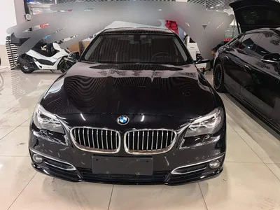 2017 BMW 5 Series 525Li Luxury Design Package, фото 2, лот 10899671