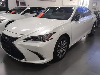 2023 Lexus ES 200 Excellence Edition, фото 1, лот 10315346