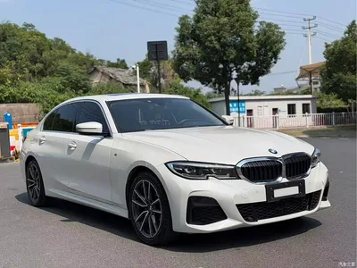 2020 BMW 3 Series 320Li M Sport Package, фото 3, лот 11188726