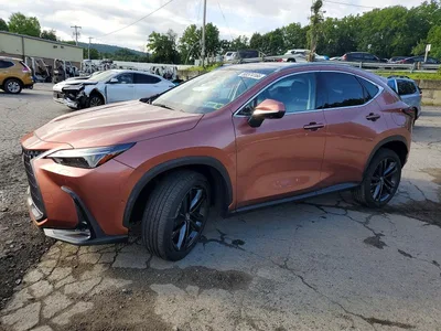 2025 LEXUS NX 450H+ BASE, фото 1, лот 10904543