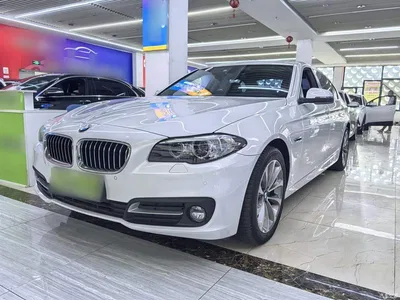 2014 BMW 5 Series 528Li Leading Edition, фото 1, лот 10894560