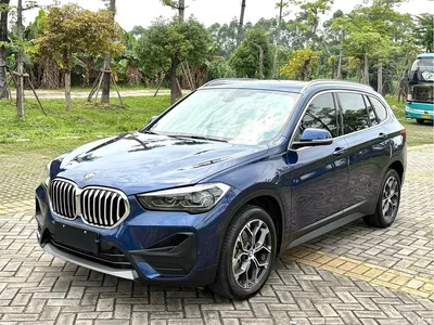 2020 BMW X1 sDrive25Li Leading Model, фото 1, лот 10465798