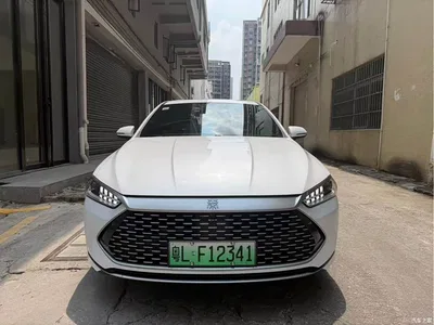 2021 BYD Qin PLUS DM-i 55KM Flagship, фото 2, лот 10816102