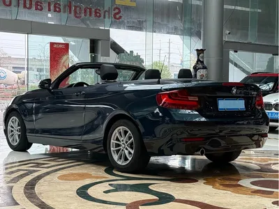 2015 BMW 2 Series (Import) 218i Convertible Coupe, фото 3, лот 10237367