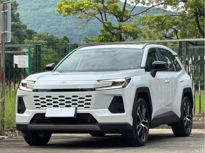 2025 Toyota Wildlander Hybrid 2.0L Base Model, фото 1, лот 10277892