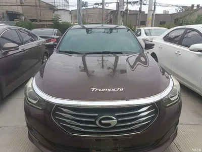 2016 GAC Trumpchi Trumpchi GA6 235T DCT Luxury Edition, фото 3, лот 10387345