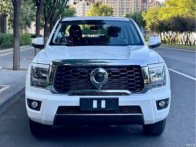 2023 Great Wall King Kong Cannon 2.0T Manual Gasoline 4WD Elite Long Box GW4C20C, фото 2, лот 11162769