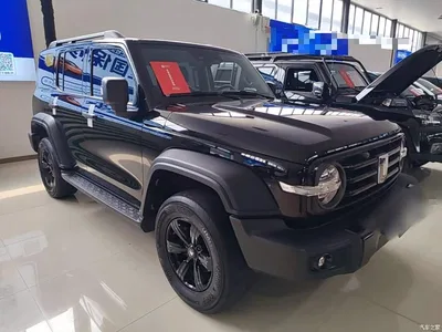 2021 Tank 300 Off-road Version 2.0T Conqueror, фото 4, лот 10345361