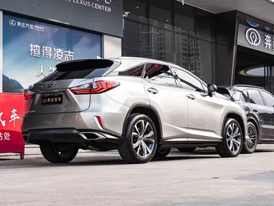 2016 Lexus RX 300 4WD Luxury Edition China V, фото 3, лот 10312576