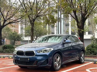 2021 BMW X2 xDrive25i M Sport Package, фото 1, лот 10475421