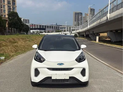 2022 QQ New Energy Little Ant Sweet Pink Edition Half Sugar Version NCM Lithium 30kW 301km, фото 2, лот 10902426