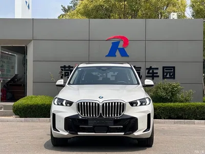 2026 BMW X5 xDrive 40Li M Sport Night Edition Package, фото 2, лот 10393849