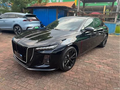 2025 Hongqi H5 2.0T Automatic Mystic Shadow, фото 1, лот 11087362