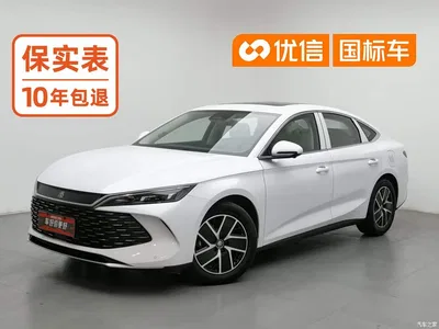 2024 Byd Qin, фото 1, лот 10245336