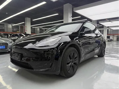 2023 Tesla Model Y Rear-Wheel Drive Edition, фото 1, лот 11018128