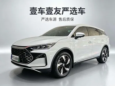 2024 BYD Tang New Energy DM-i Glory Edition 112KM Deluxe, фото 1, лот 10481281