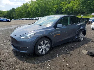 2022 TESLA MODEL Y, фото 1, лот 10852543