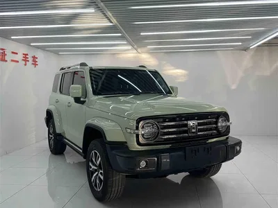 2023 Tank 300 Urban Edition 2.0T Very Stylish, фото 2, лот 11225318