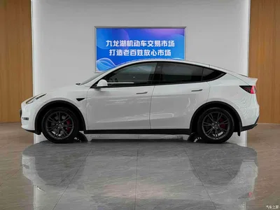 2023 Tesla Model Y Rear-Wheel Drive Edition, фото 4, лот 11249562