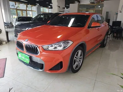 2020 BMW X2 sDrive25i Leading M Off-Road Package, фото 1, лот 10475626
