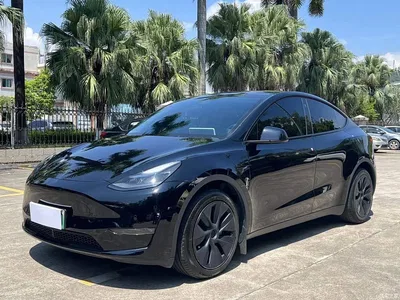 2024 Tesla Model Y Long Range AWD, фото 1, лот 10451972