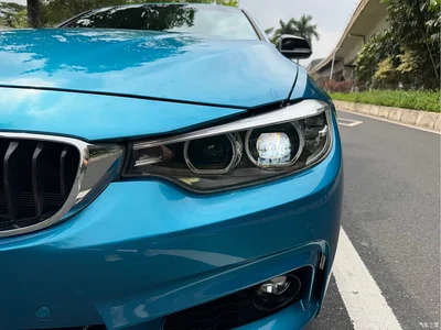2019 BMW 4 Series 425i Gran Coupe M Sport Shadow Edition, фото 4, лот 10578831
