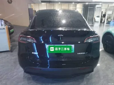 2022 Tesla Model Y Long Range AWD, фото 4, лот 11249050