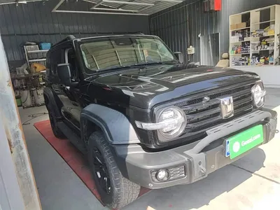 2021 Tank 300 Off-road Edition 2.0T Challenger, фото 4, лот 10345255