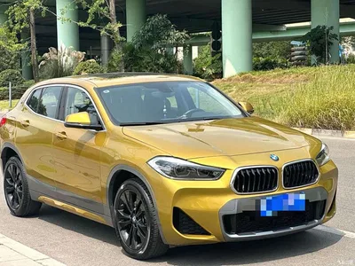 2020 BMW X2 sDrive20i M Off-Road Package, фото 3, лот 10475679