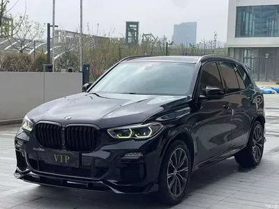 2023 BMW X5 xDrive 40Li M Sport Package, фото 1, лот 10463242