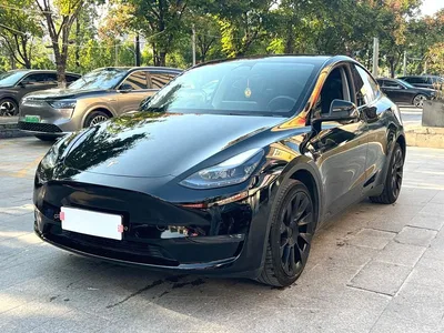 2023 Tesla Model Y Long Range All-Wheel Drive Edition, фото 1, лот 10807976